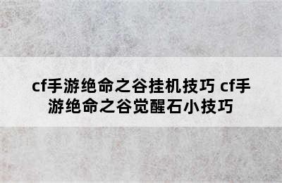 cf手游绝命之谷挂机技巧 cf手游绝命之谷觉醒石小技巧